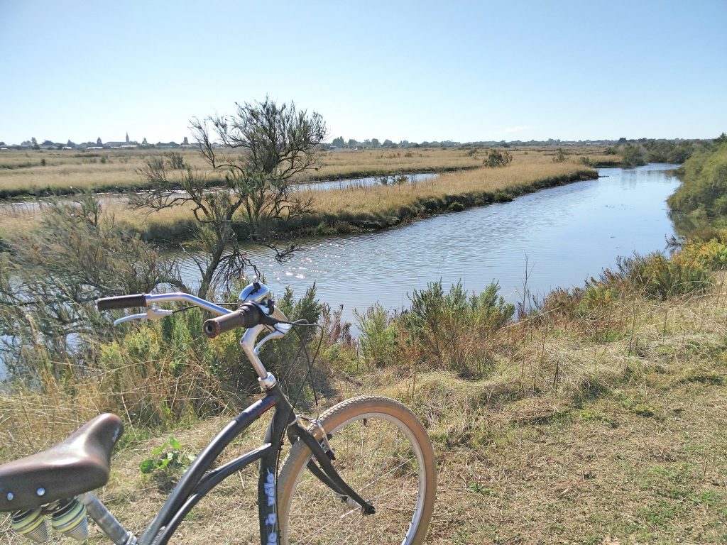 un tour de vélo sur l'île de ré