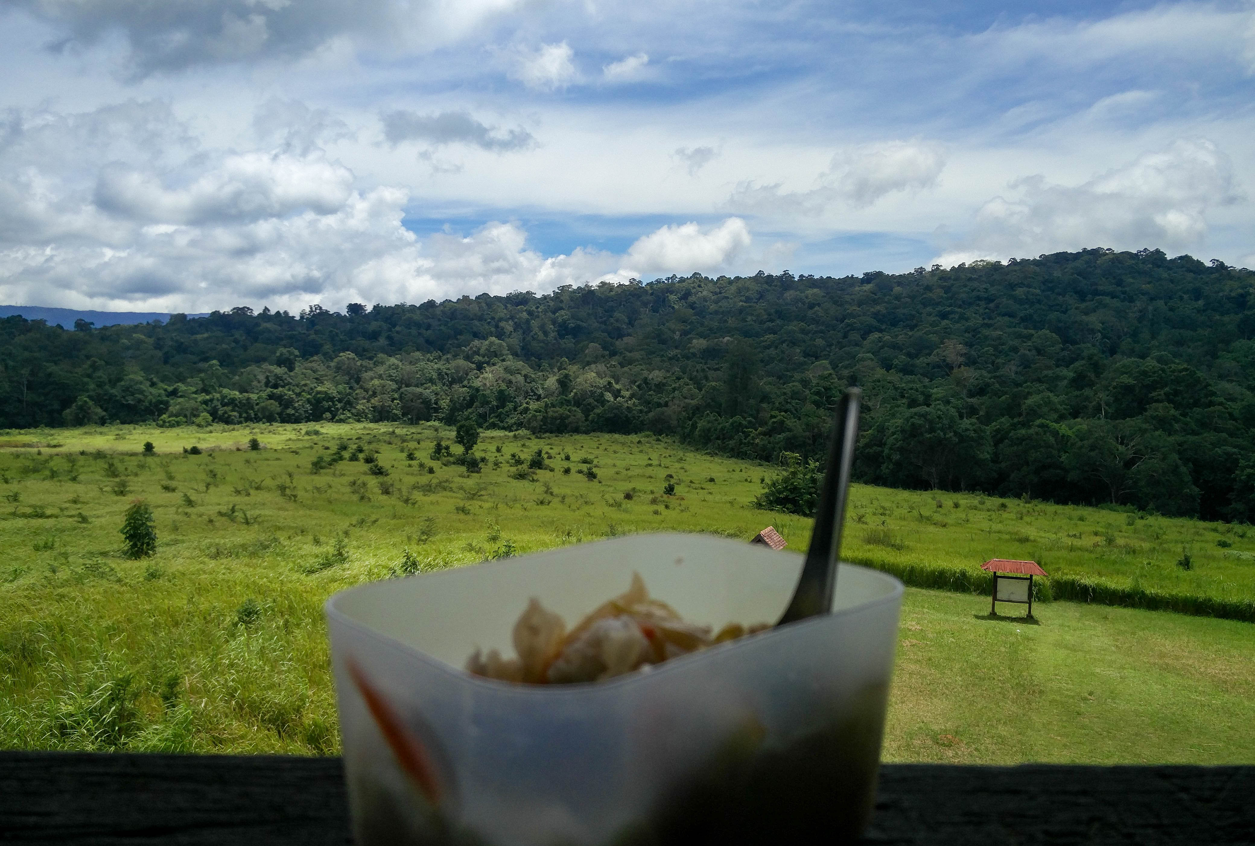 Vue de la Tour d'observation de Khao Yai @neweyes